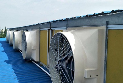 Инструкции по разведению крупного рогатого скота: как отличить использование вентиляционных циркуляционных вентиляторов и вытяжных вентиляторов в сараях для крупного рогатого скота?