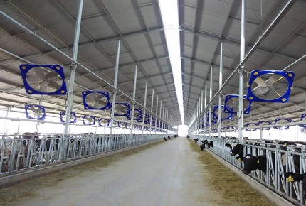 Прямой хит на лето