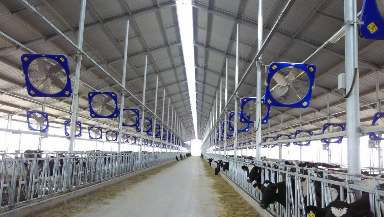 38" Circulation Fan 38" Circulation Fan