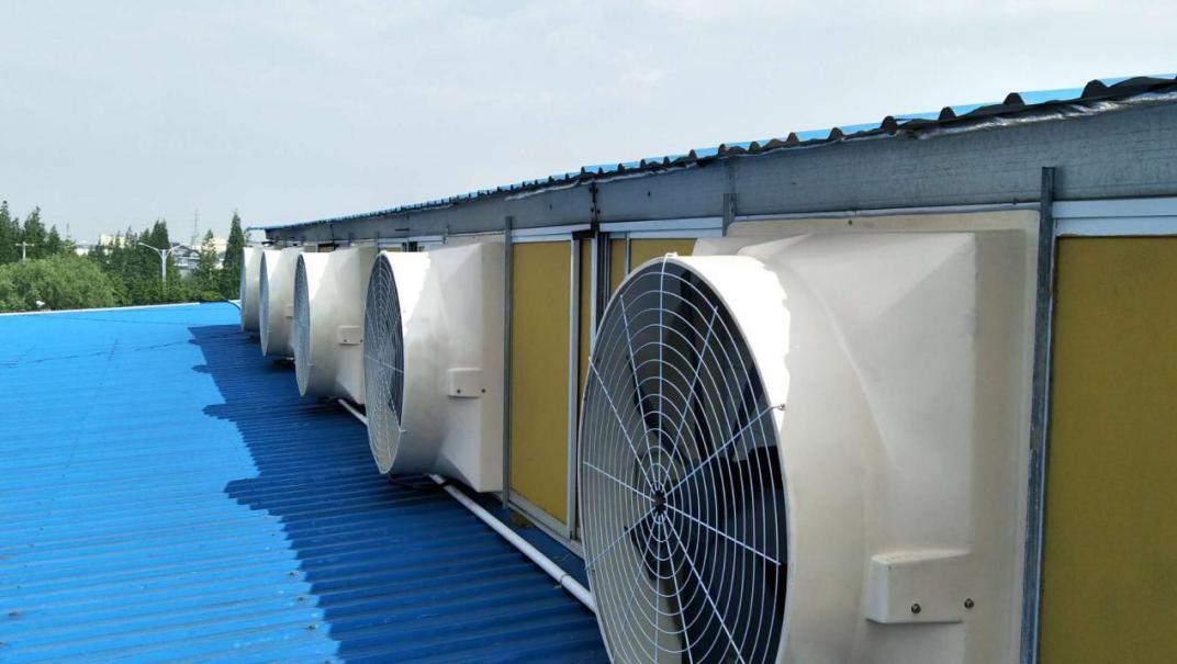 exhaust fan for poultry farm exhaust fan for poultry farm