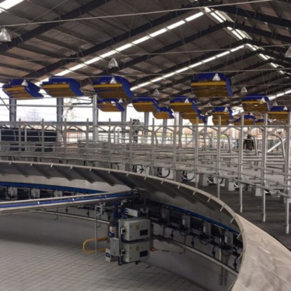 /uploads/image/2024/07/29/small-air-circulation-fans-20240729-4.jpg small-air-circulation-fans-20240729-4.jpg