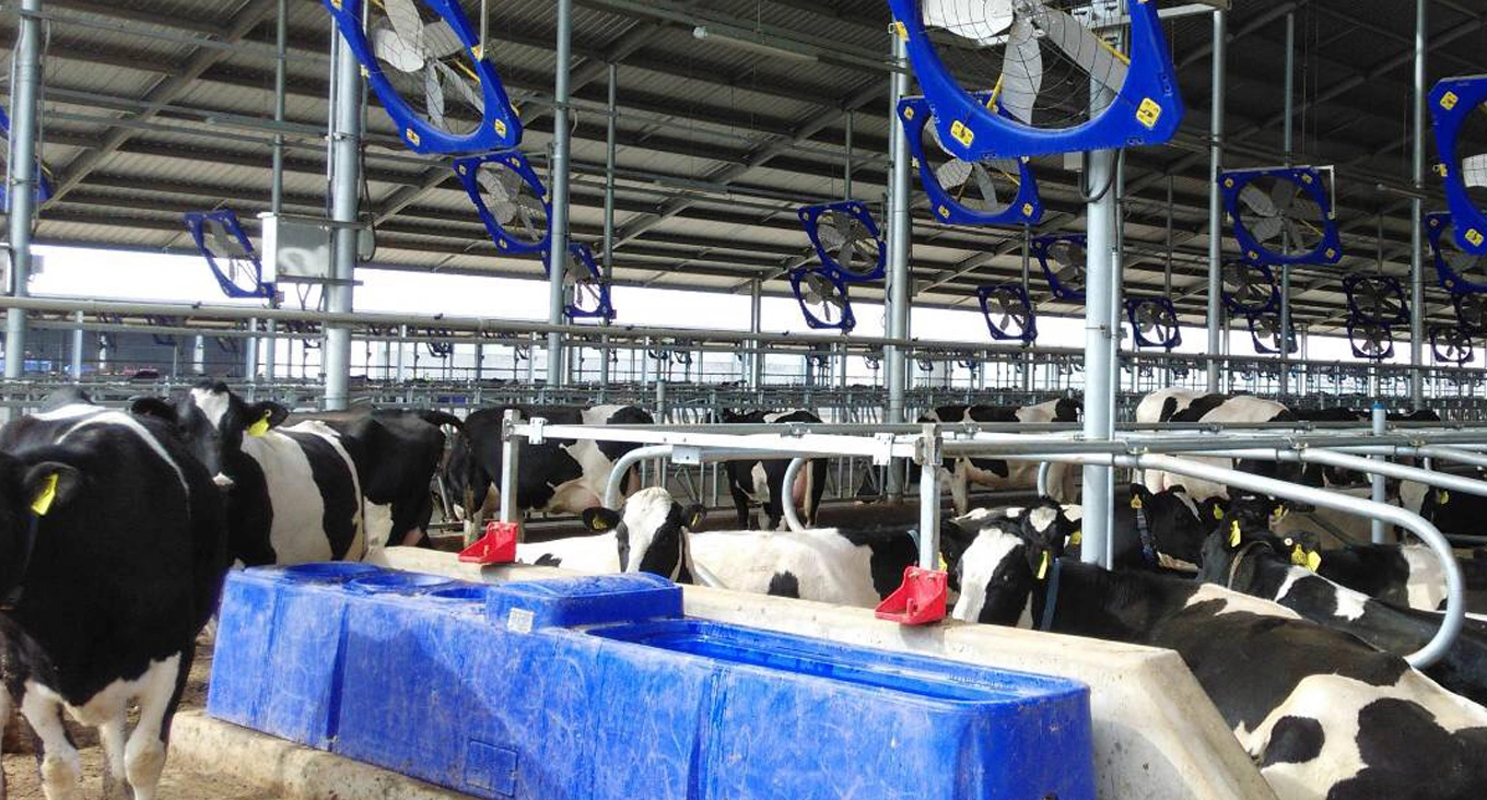 Ферма и ранчо Оборудование Решения