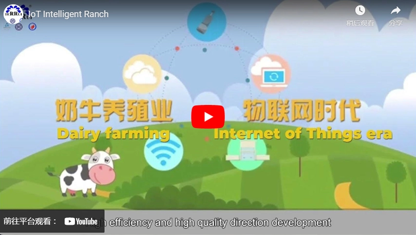 Интеллектуальное ранчо IoT