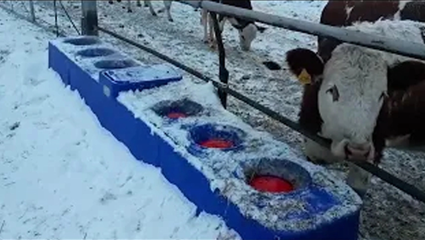 ВИД 20221207 WA0035