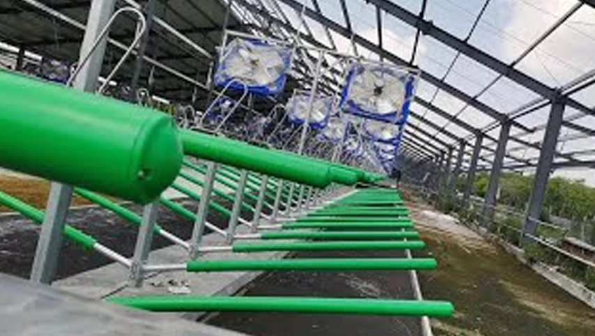 Корова бесплатно застолье Terrui завод производителя обеспечивают ранчо оборудование