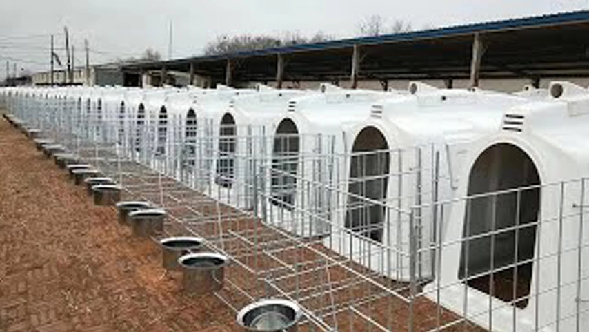 Terrui Hutch для теленка в Японии Ручка для теленка для крупного рогатого скота из пищевого качества