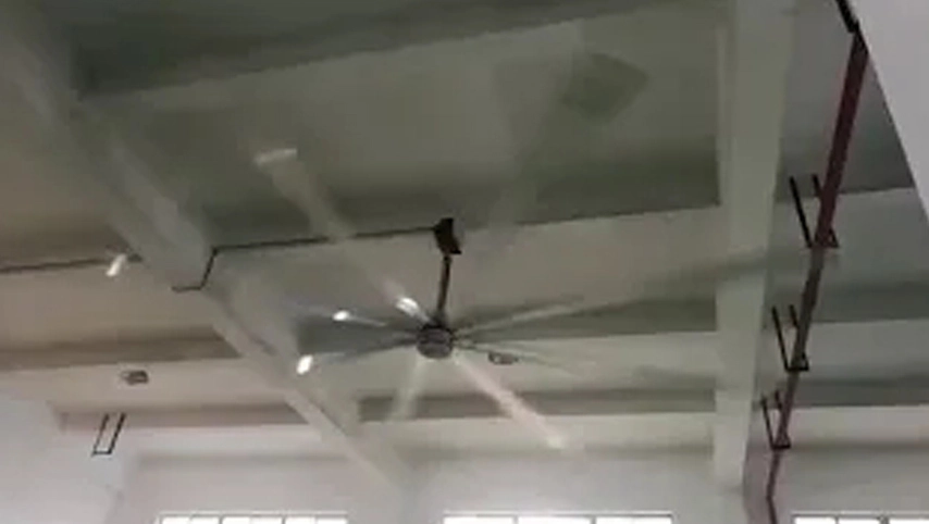 Промышленный потолочный вентилятор 24ft большой промышленный потолочный вентилятор Hvls 8 лопастей Производитель Китай