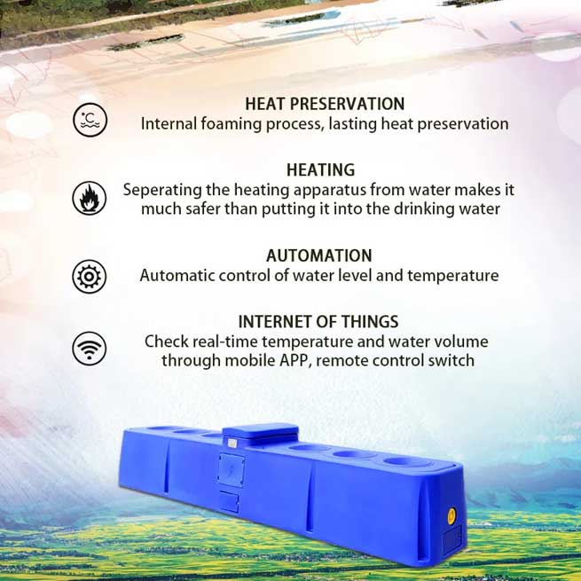 Cow Drinking Trough Cattle Waterer Livestock Equipment Factory Manufacturer Terrui Cow Drinking Trough Cattle Waterer Livestock Equipment Factory Manufacturer Terrui