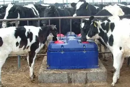 Три питания советы, чтобы изменить игру этот сезон Calving