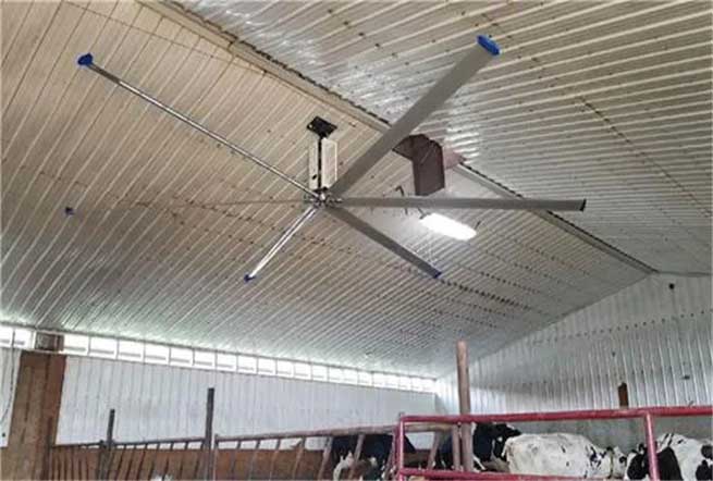 What is Large HVLS Industrial Fan Factory Livestock Fan? | Terrui What is Large HVLS Industrial Fan Factory Livestock Fan? | Terrui