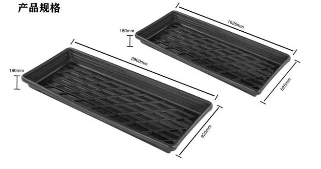 Why are Cows So Prone to Hoof Disease? How to Prevent? Why are Cows So Prone to Hoof Disease? How to Prevent?