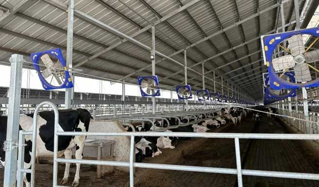 Hazards and Solutions of Ammonia Gas in Cowsheds: Smart Breeding to Improve the Quality and Efficiency of Livestock Management Hazards and Solutions of Ammonia Gas in Cowsheds: Smart Breeding to Improve the Quality and Efficiency of Livestock Management
