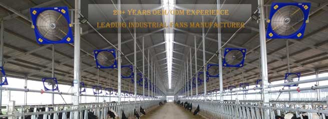 Three Nutrition Tips to Change the Game This Calving Season Three Nutrition Tips to Change the Game This Calving Season