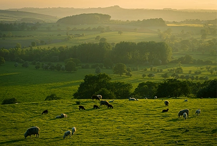 Оборудование для живого запаса для больших общественных мест