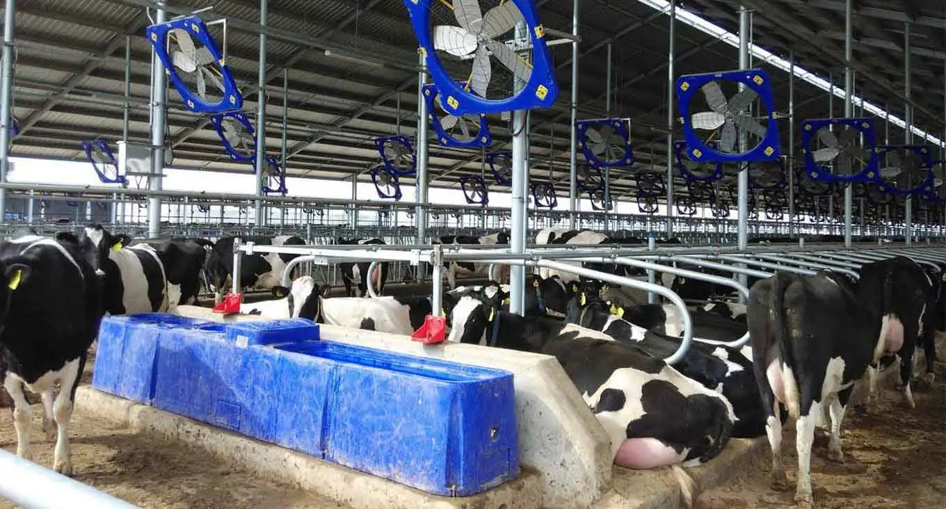 Ферма и ранчо Оборудование Решения