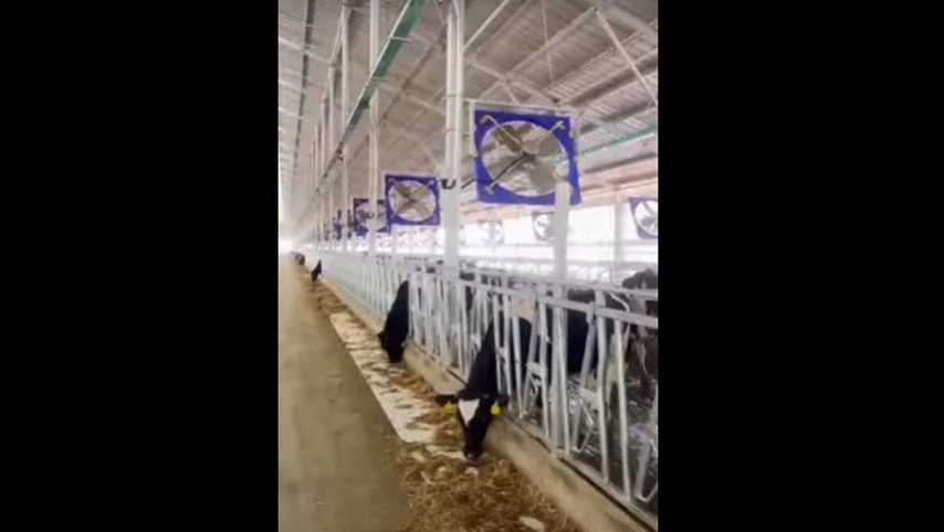 38 дюймовый промышленный вентилятор