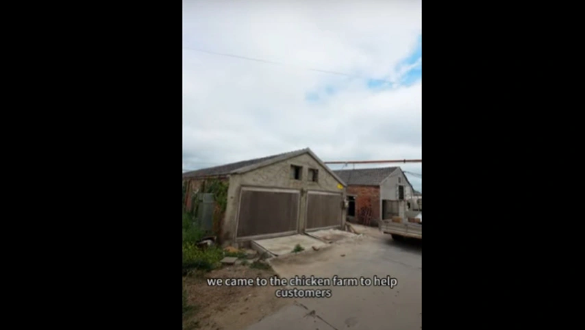 Куриная ферма