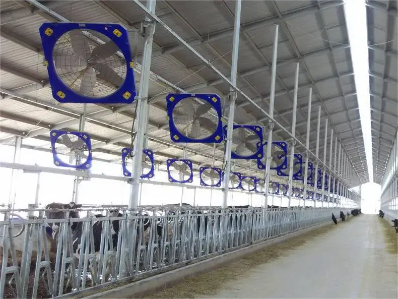 Лучшее руководство по выстрижке коров для начинающих