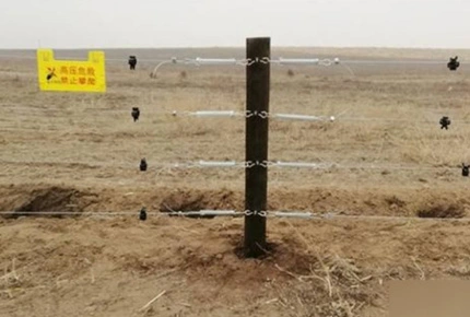 Невидимое ограждение пастбищных угодий: положительное влияние на животноводство