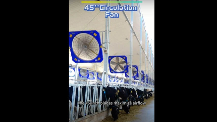 Циркуляционный вентилятор