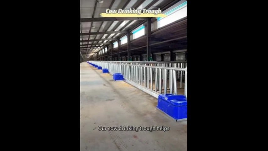 Кормушка для питья коров