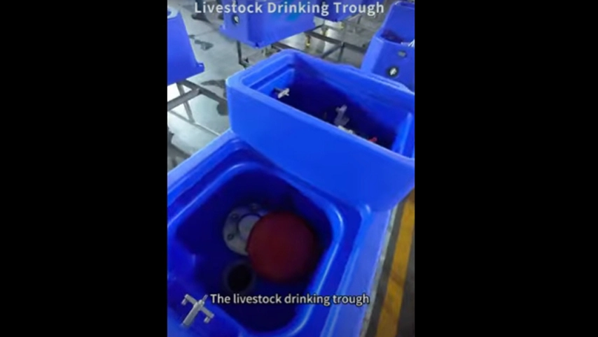 Поилка для скота