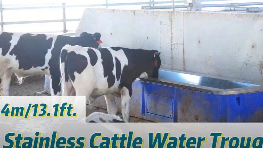 Terrui-4m нержавеющая кормушка для воды для крупного рогатого скота