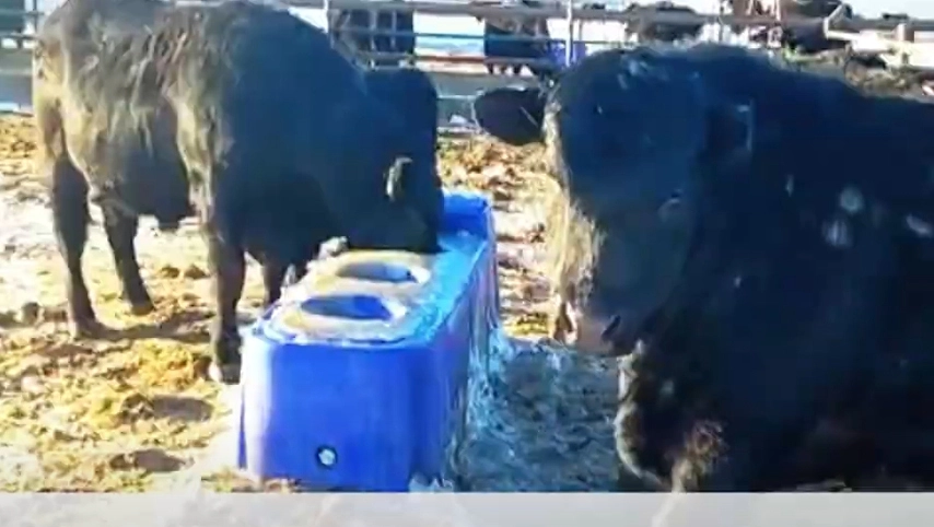 Terrui-корыто для воды для скота