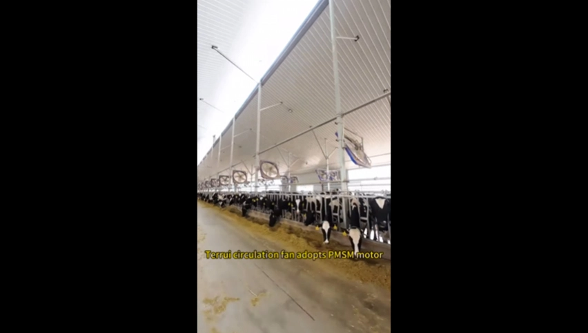 Циркуляционный вентилятор