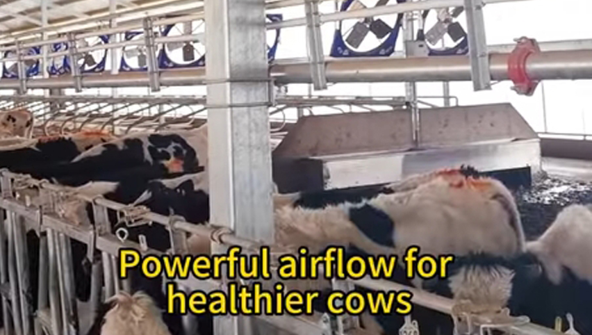 Циркуляционный вентилятор