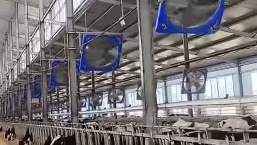 Вентиляторы циркуляции 38 дюймов