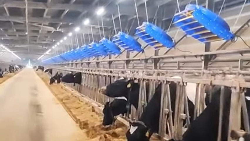 Вентилятор циркуляции 72 дюймов