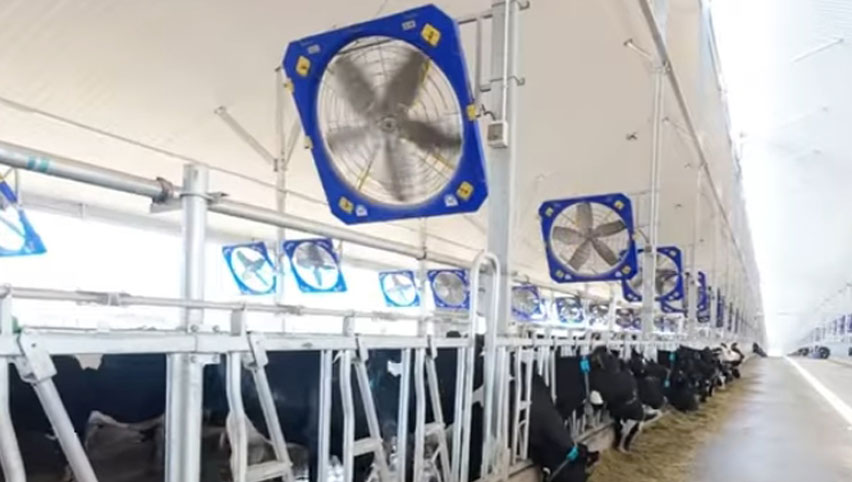 45 ''циркуляционный вентилятор