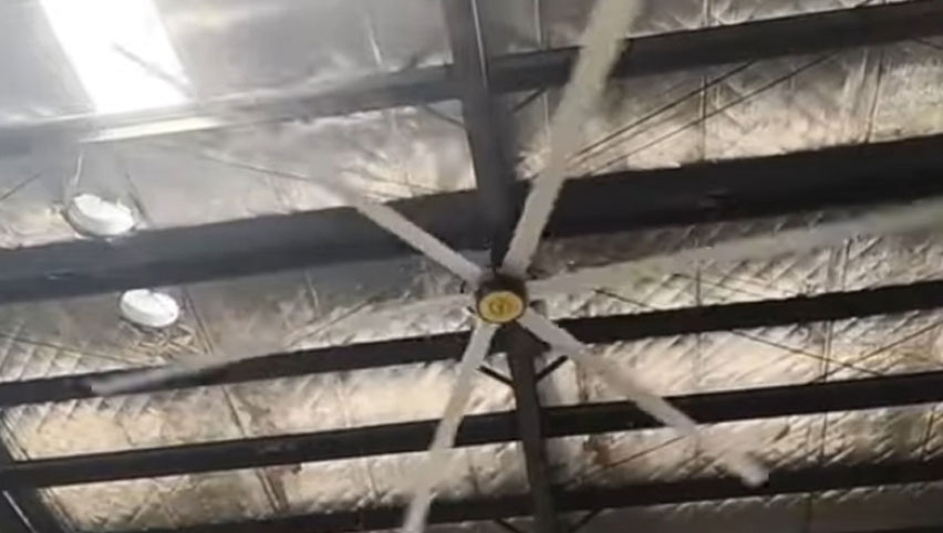 Потолочный вентилятор hvls