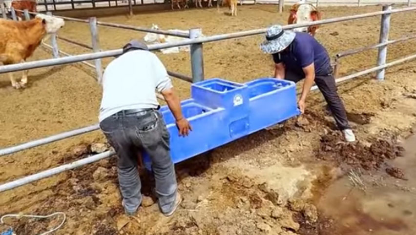 Водный корыто Терруи