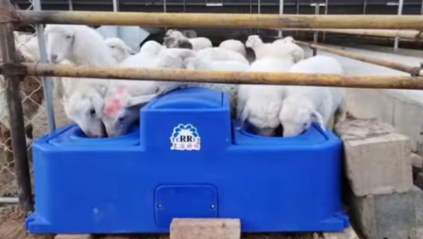 Водный корыто