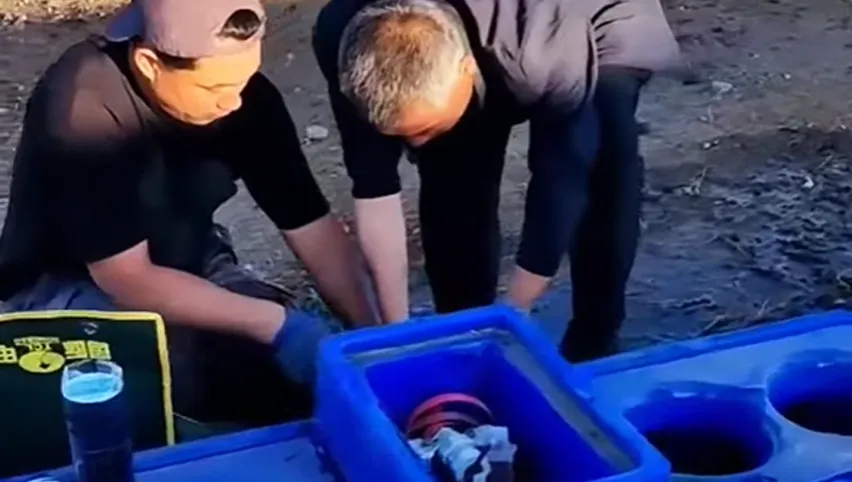 Поилка для скота
