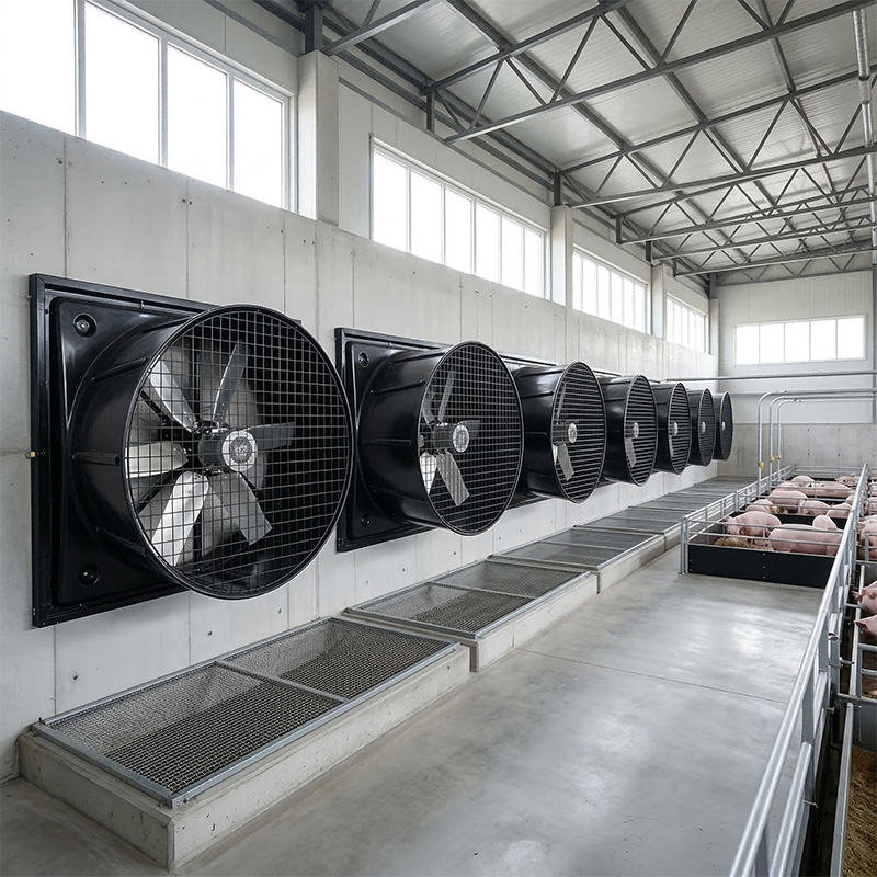 Terrui_High-Capacity_Industrial_EC_Exhaust_Fan_installed_in_a_clean_modern_barn_for_cow_ventilation.jpg Terrui_High-Capacity_Industrial_EC_Exhaust_Fan_installed_in_a_clean_modern_barn_for_cow_ventilation.jpg