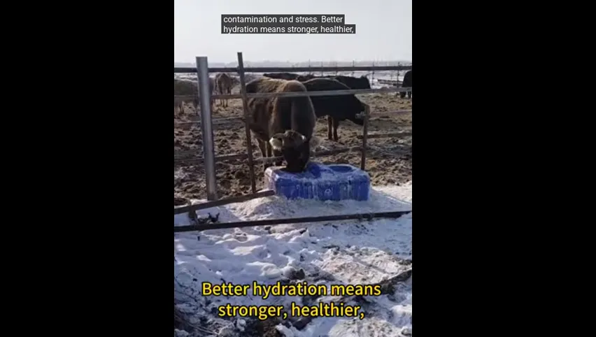 Вентилятор для циркуляции воздуха в птицеводстве