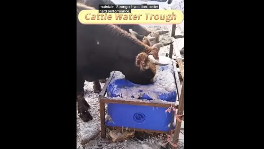 Продается коровник