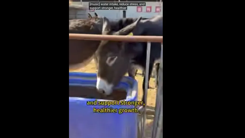 Спиральные колья для забора