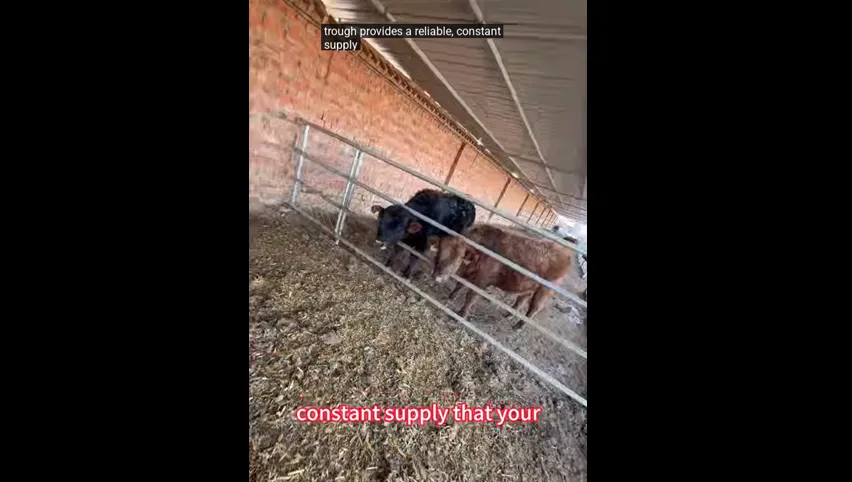 Нержавеющая поилка для скота